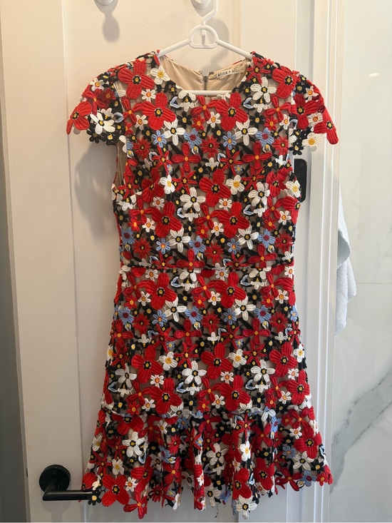 Alice + Olivia Dresses & Skirts - Alice + Olivia Red Floral Embroidered Mini Dress